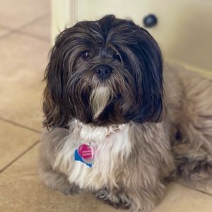 Meet your posher, Jacey!